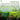 Organic Celery Shots 27ml (15 Shots) - Green Zone