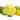 Organic Lime & Lemon Shots 27ml (15 Shots)
