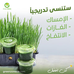 Organic Wheatgrass Shots 27ml (15 Shots) - Green Zone